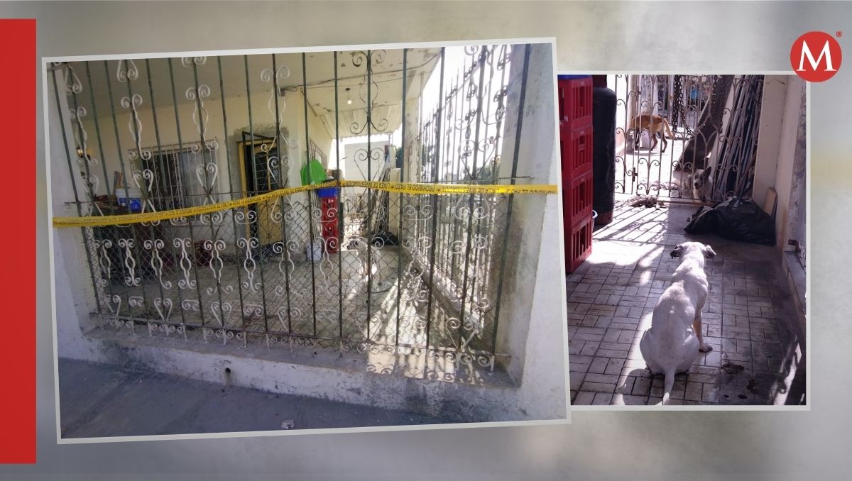 Los perritos estaban sin alimento y con un pequeño recipiente de agua sucia | Agustín Martínez
