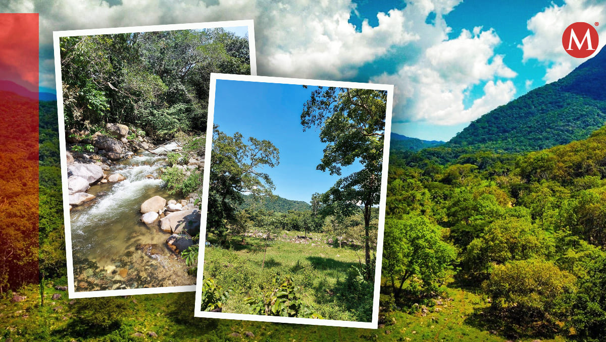 Canoas en Colima, es declarada nueva Área Natural Protegida federal | Especial | Diseño: Óscar Ávila
