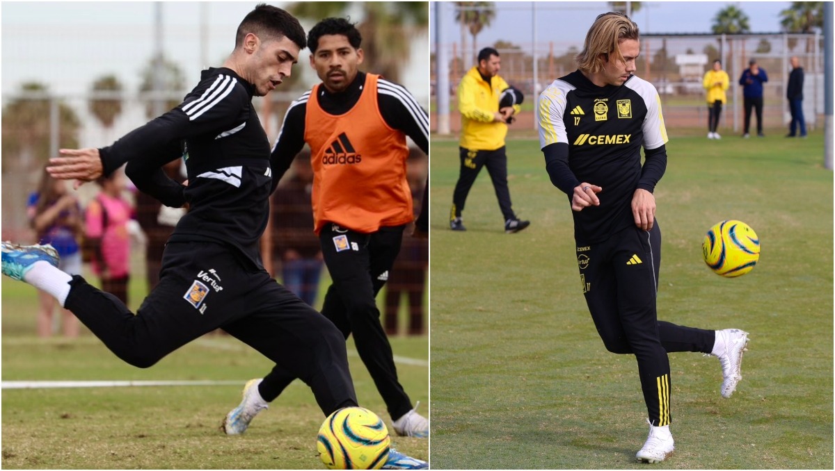 Robert Dante Siboldi en busca de un elenco competitivo en Tigres (Twitter: @TigresOficial)