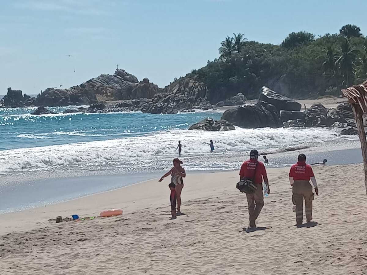 Tiburón ballena sorprende a bañistas en la Costa de Oaxaca | Especial