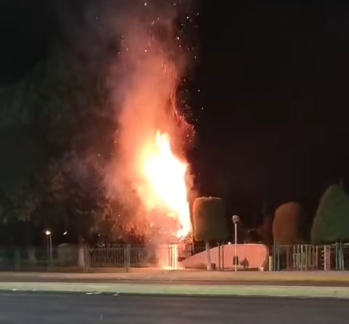 De acuerdo con el director de Protección Civil y Bomberos, el fuego solo afectó un árbol (Captura)