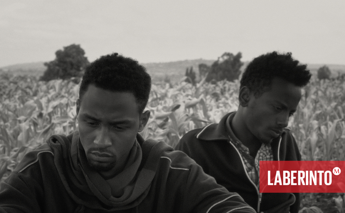 Fotograma de ‘Faya Dayi’. (Janus Films)