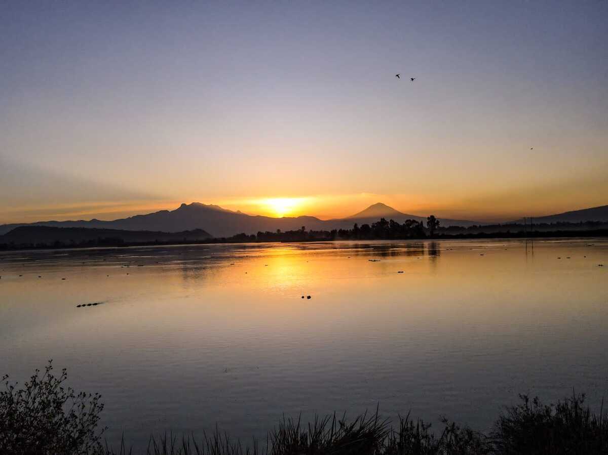 Lago Tláhuac-Xico, nombrado como Área Natural Protegida federal. (Foto: Especial)