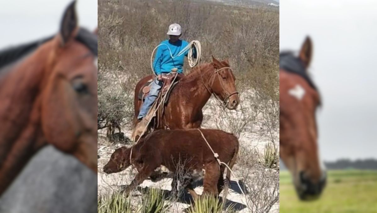 Menor de 14 años muere tras caerle caballo encima en Coahuila