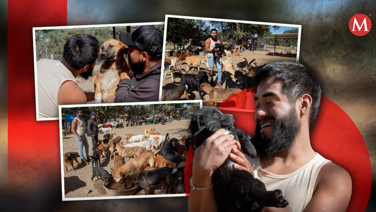 Orejitas de Gala rescata a perritos en Tlaxcala | Melanie Torres