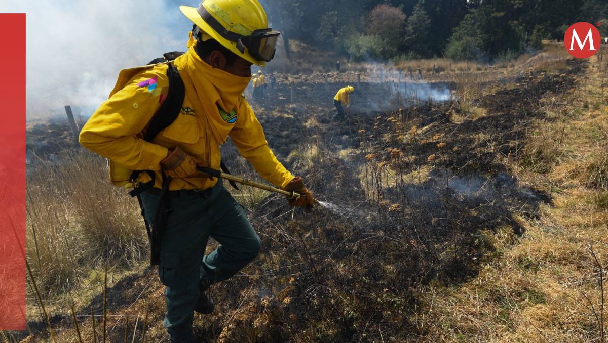 Brigadistas de Probosque realizan labores preventivas previó al inicio de la temporada de estiaje | (Cuartoscuro)
