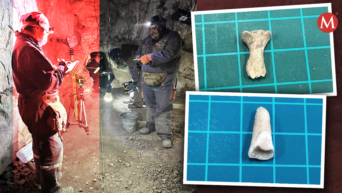 Localizan restos humanos en Nuevo León. Foto: Especial