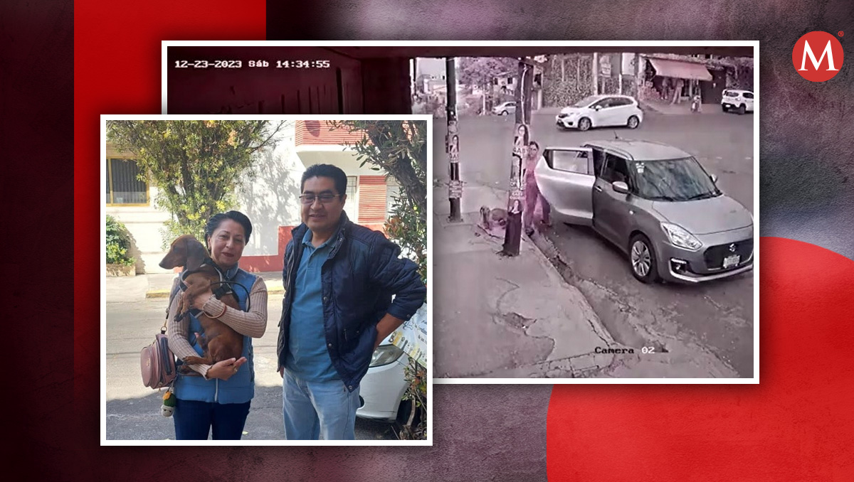 En su valoración médica después de su rescate el perrito fue encontrado muy delgado. | Especial.