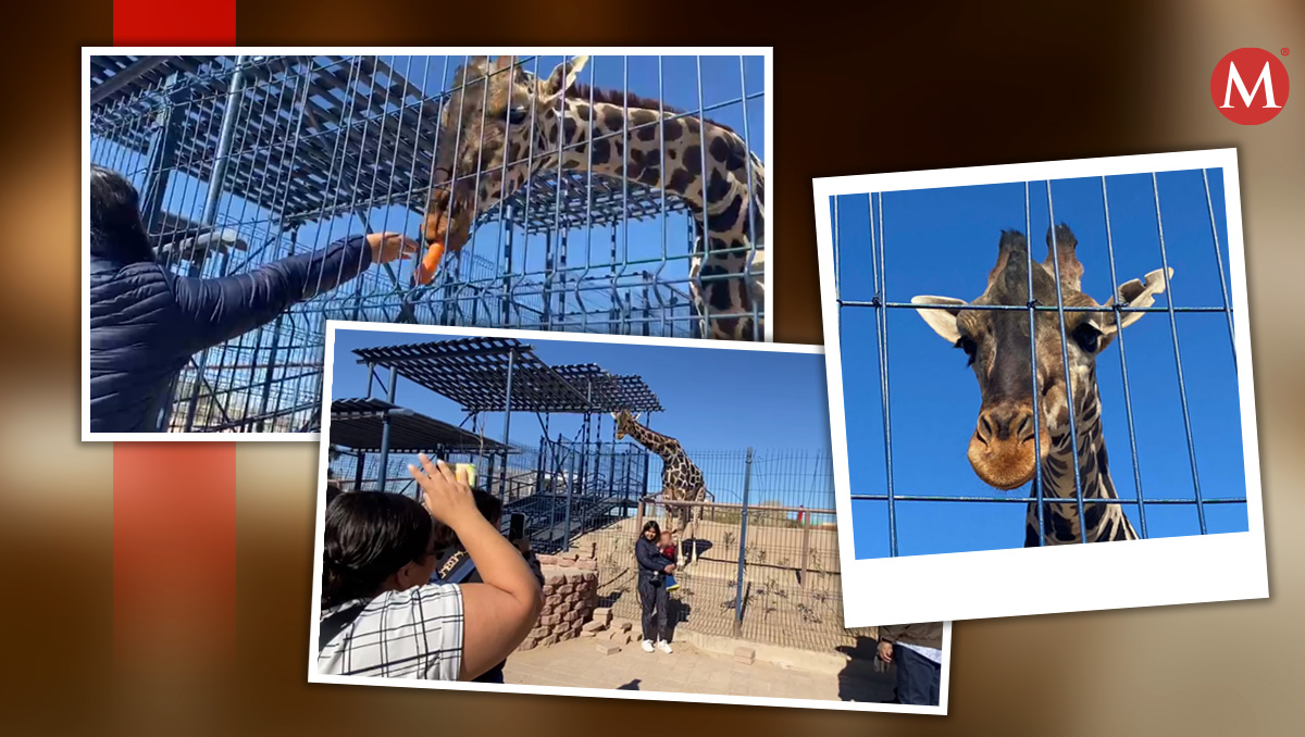Defensores de animales también acudieron parque a la espera del traslado de la jirafa. | Blanca Elizabeth Carmona