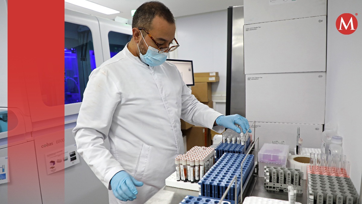 Los especialistas pueden detectar virus y patógenos mediante el estudio. | Especial