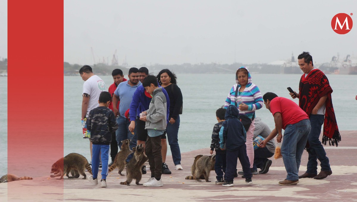 Frente frío en Tamaulipas. (Sergio Sánchez)