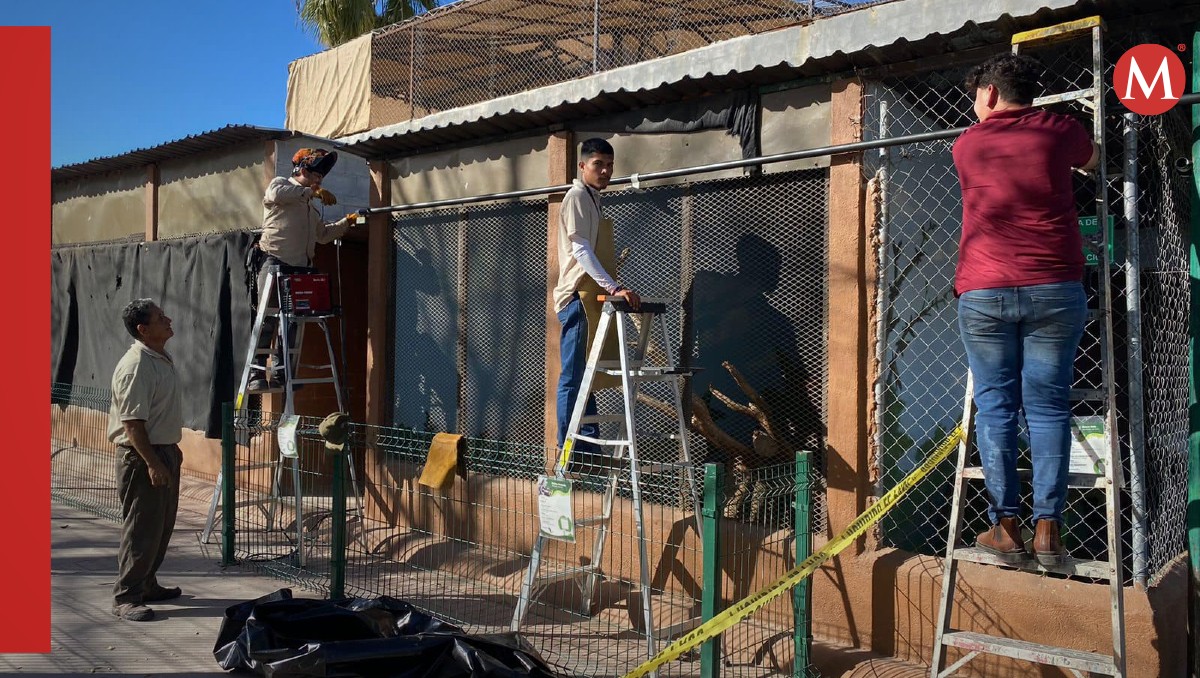 Resguardan a animales de zoológico en Tamaulipas