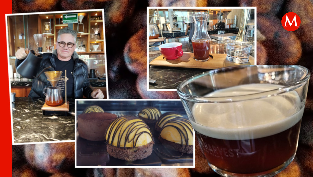 Anacafe 14 | Melanie Torres