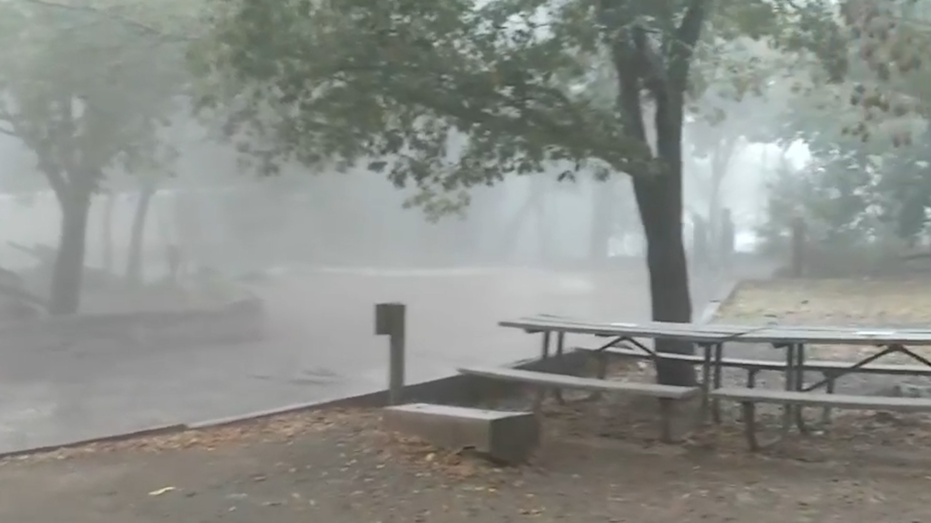 Por bajas temperaturas, familias de NL visitan el Parque Chipinque