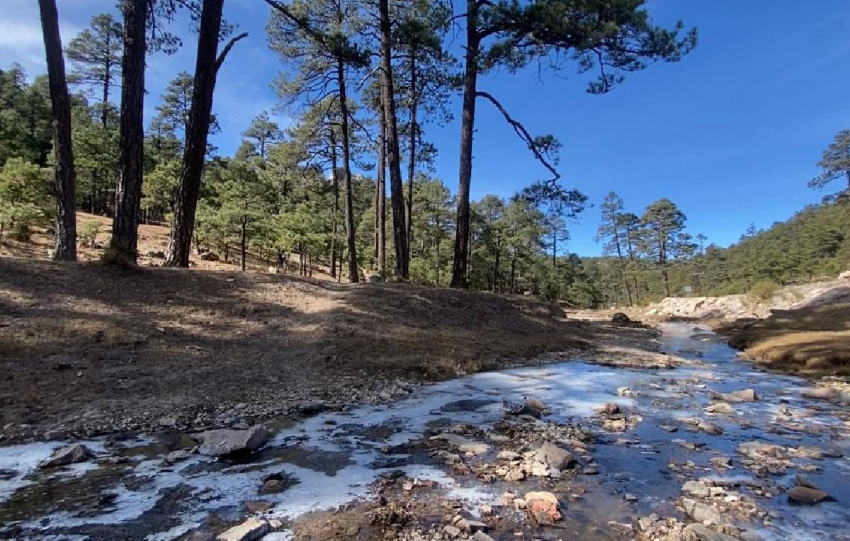 Frío en La Rosilla, Durango (Foto: Amílcar Salazar)