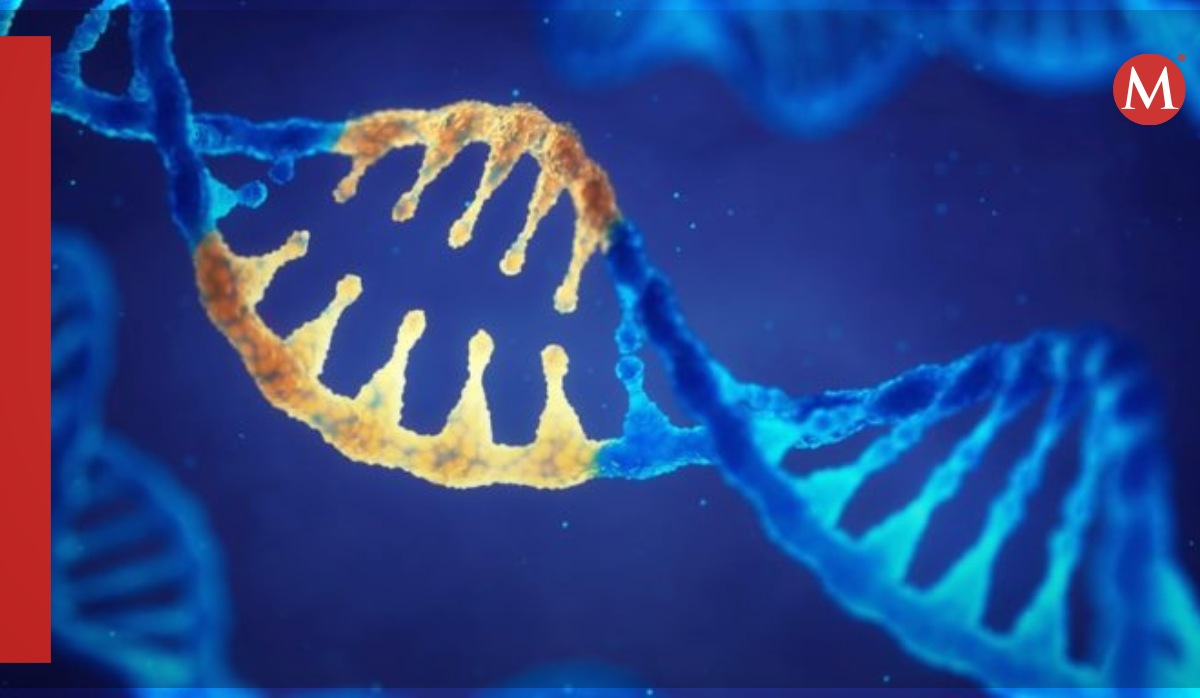 hallan genes alterados que elevan riesgo de cáncer