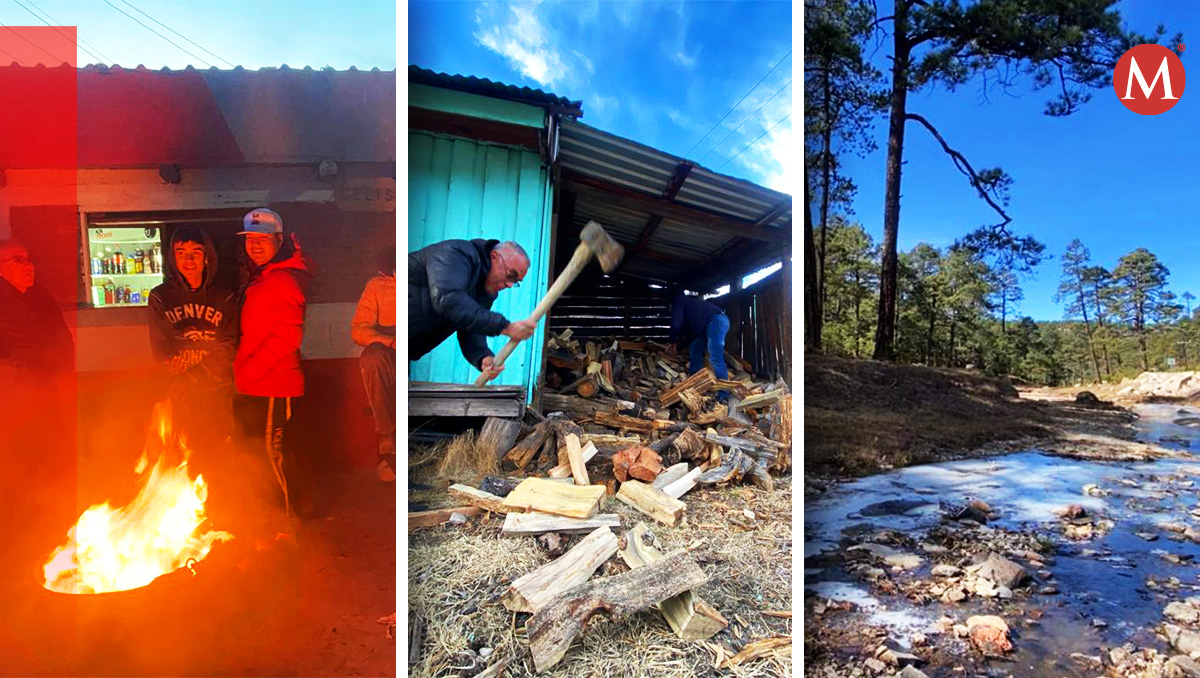 La Rosilla es una localidad en lo alto de la Sierra Madre Occidental (Ilustración: Oscar Ávila)