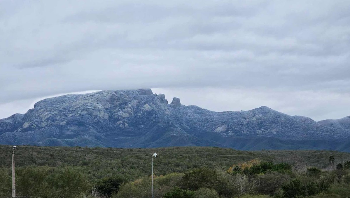 Sierra de San Carlos en Tamaulipas, helada hoy 16 enero 2024. (Foto: Pierre Meléndez)