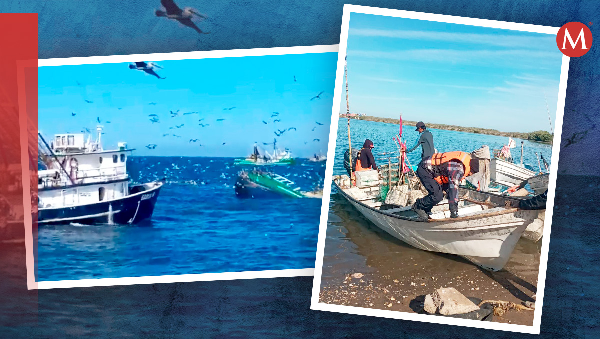 El barco se hundió en Sinaloa; ocho tripulantes lograron salir y uno quedó atrapado. | Especial
