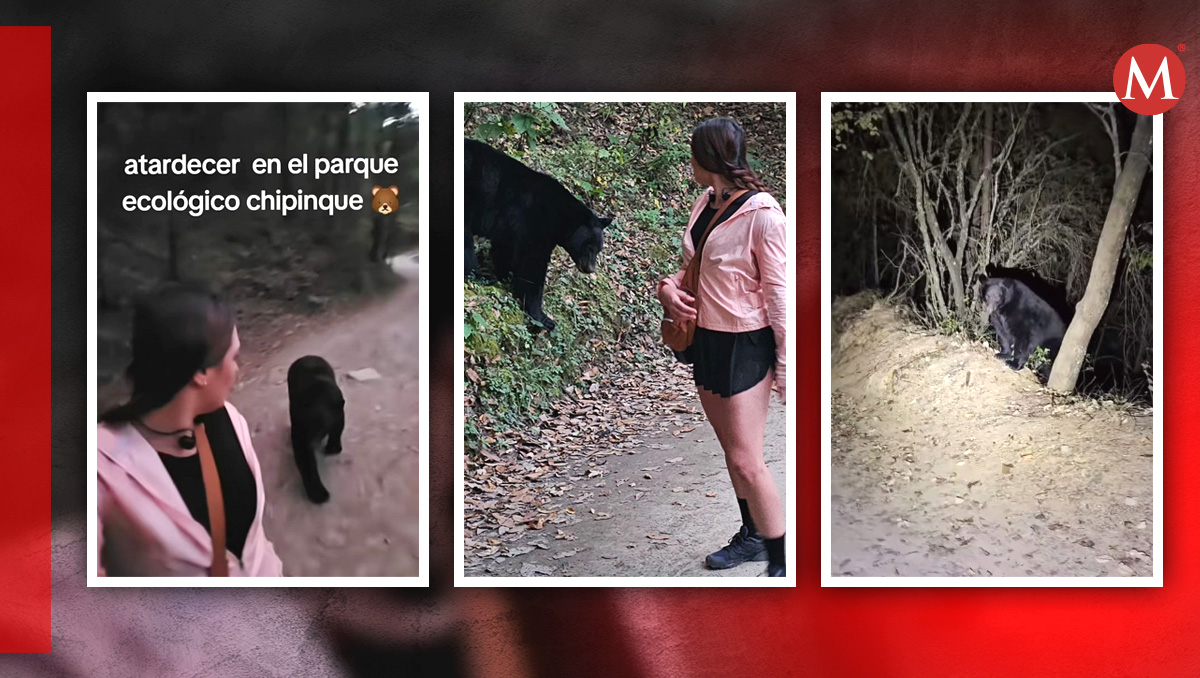 La joven compartió en redes sociales el momento donde el oso la comenzó a perseguir. Especial