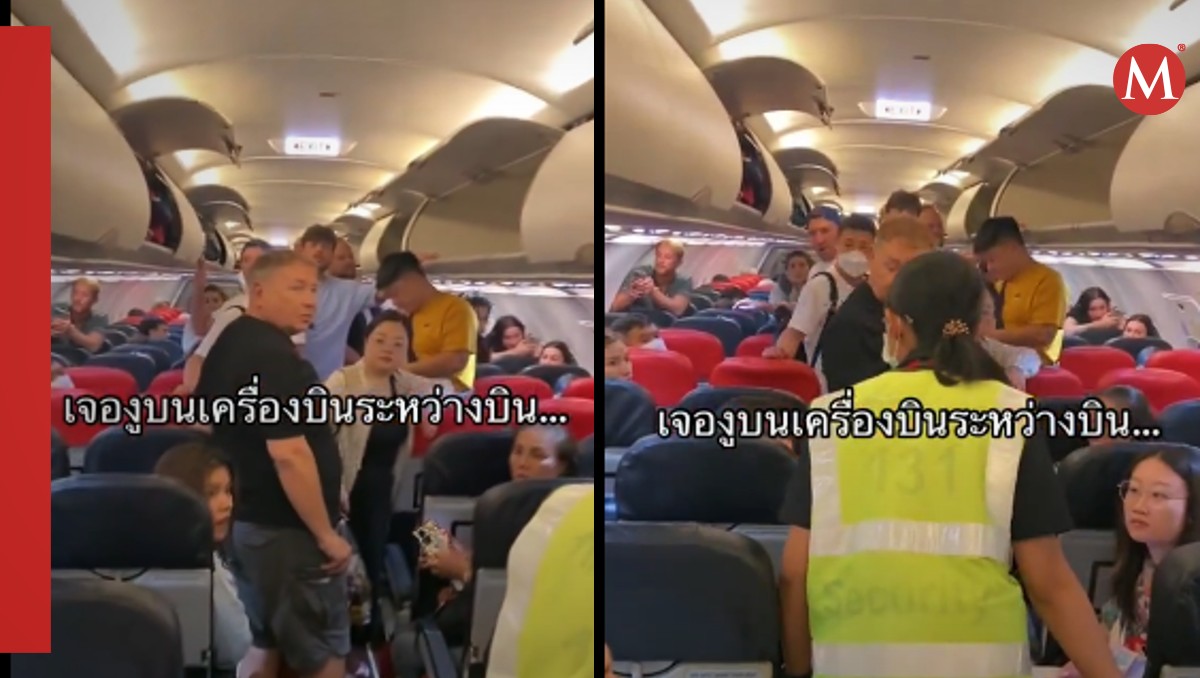 Serpiente provoca miedo en un avión. | TikTok captura
