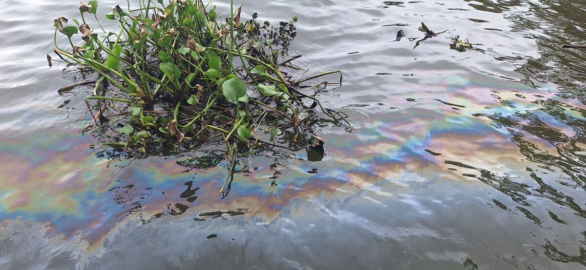 Pescadores reportan derrame de aceite en río Coatzacoalcos, Veracruz | Fluvio Cesar Martínez