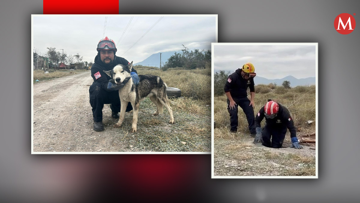 Perrito rescatado en Escobedo. Foto: Especial
