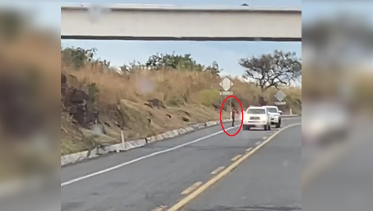 El robo fue grabado por un hombre desde un tráiler. | Especial