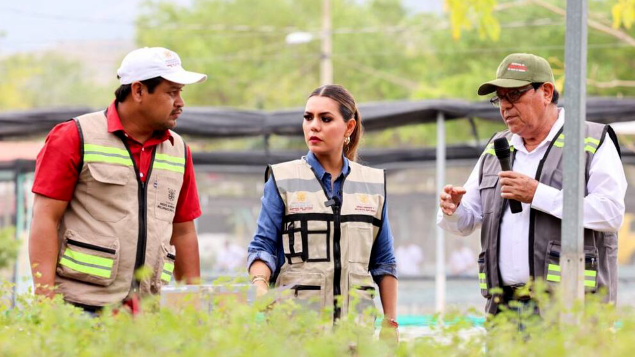 Evelyn Salgado anuncia campaña de reforestación para Acapulco