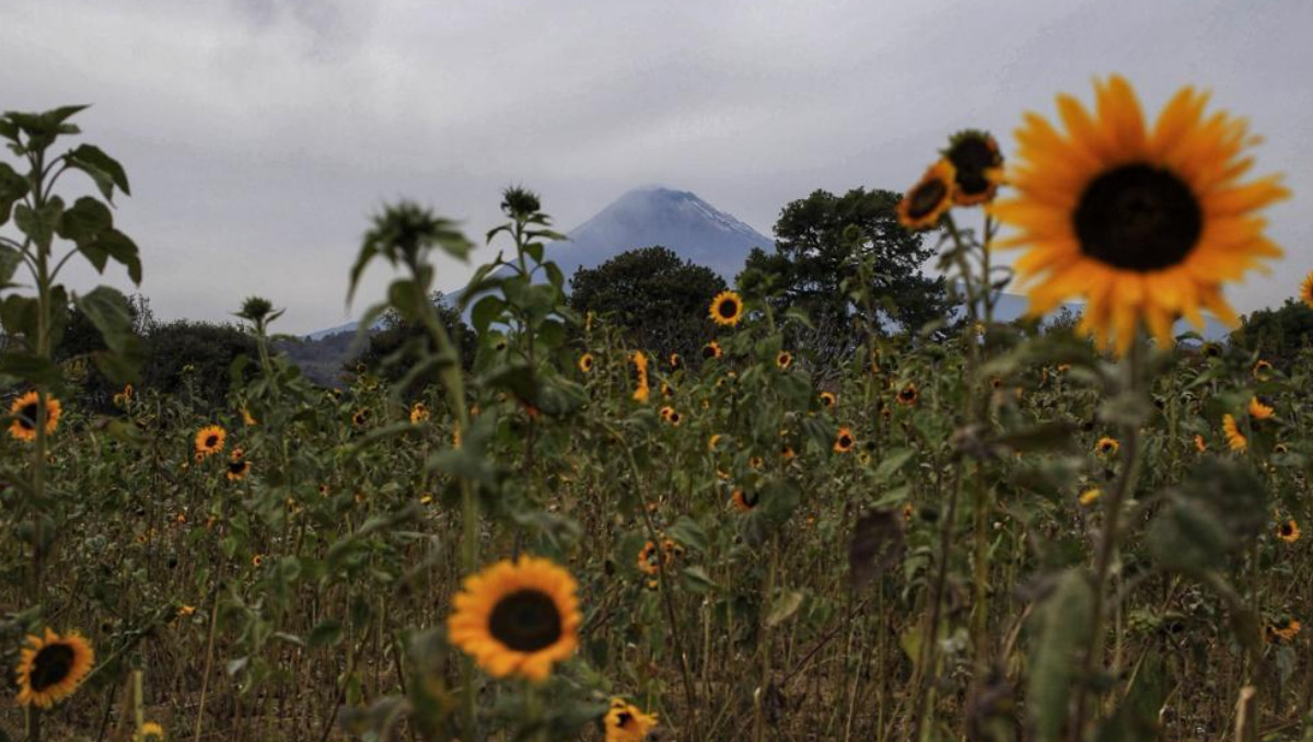 Volcán Popocatépetl | Andrés Lobato