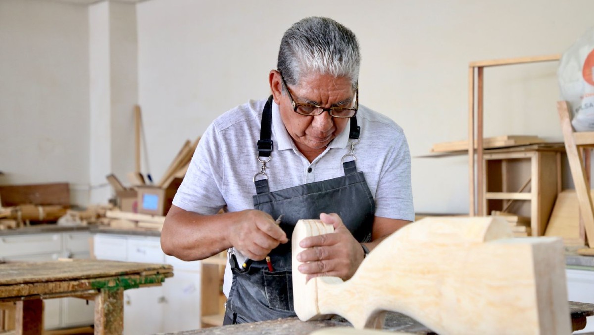 Cursos IMSS León | Cortesía