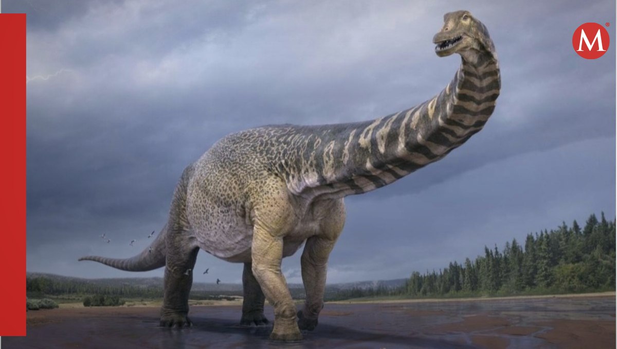 Descubren en Brasil fósiles de un anfibio gigante