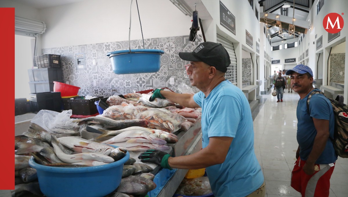 Consideran como alarmante la falta de especies en el sistema lagunario. (Yazmín Sánchez)