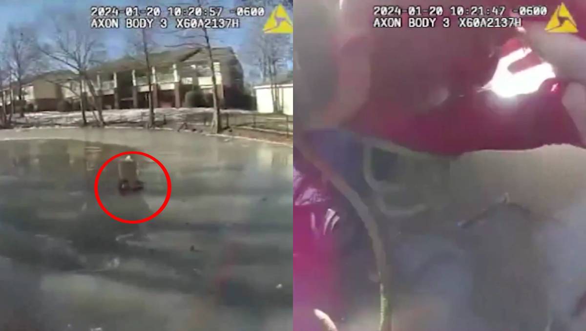 El menor fue atendido en un hospital tras ser rescatado | Especial