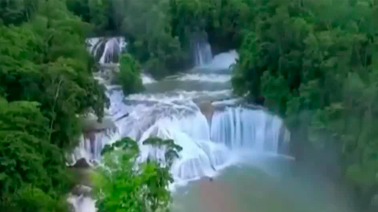 Empresas turísticas cancelan visitas a la Selva Lacandona ante la creciente violencia entre cárteles