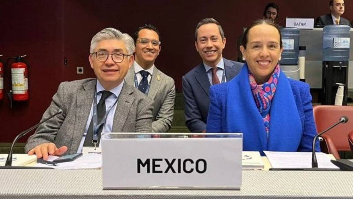 Joel Hernández García encabezó la comitiva mexicana en la ONU | X