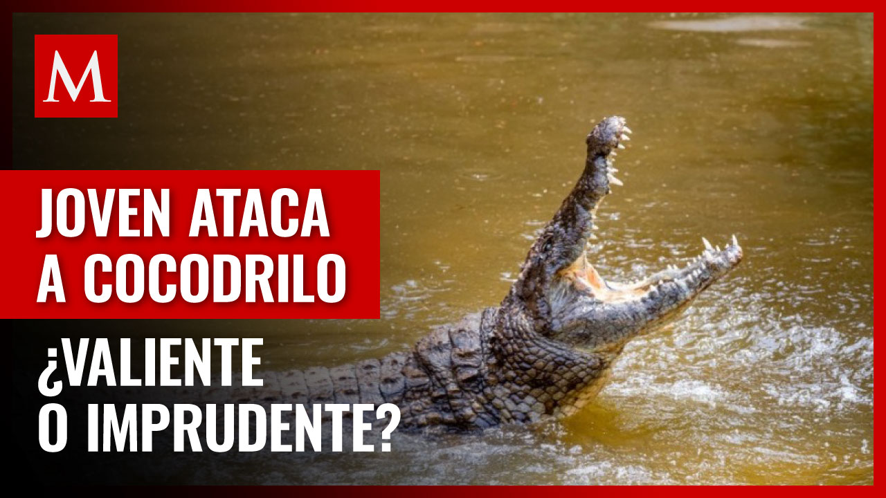 Joven ingresa a la laguna del Carpintero para enfrentar a cocodrilo