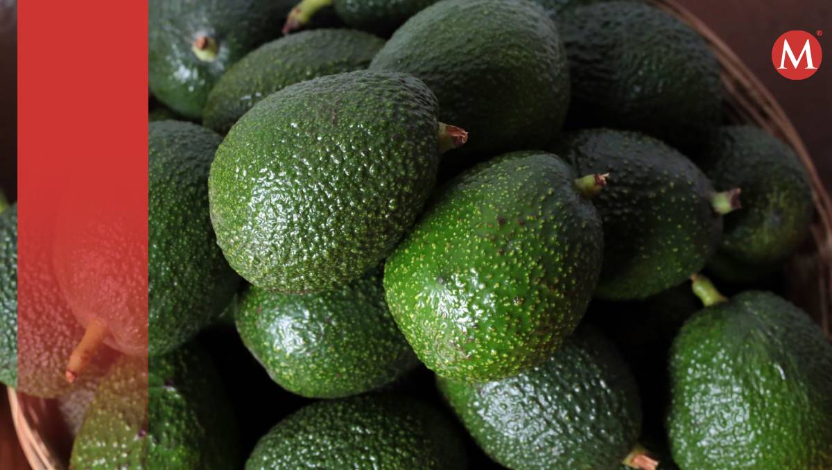 ¿En cuánto se consigue el kilo de agucate? | (Cuartoscuro)