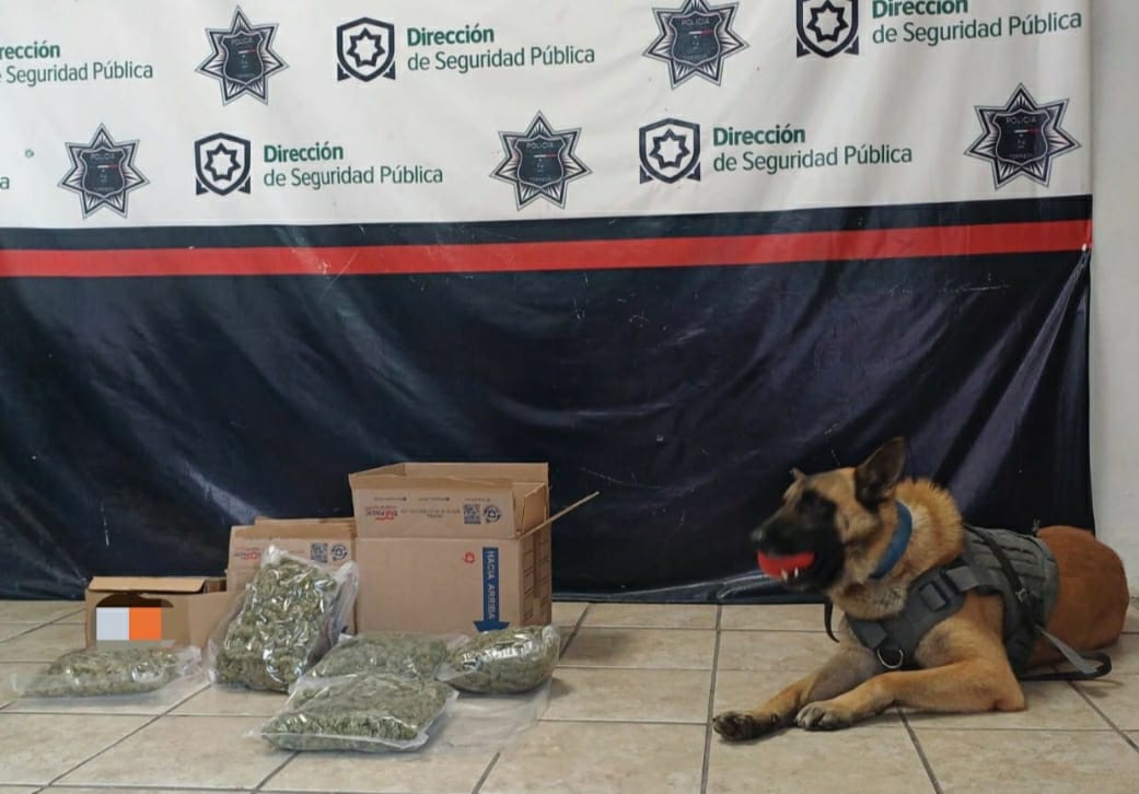 Agente del escuadrón canino de Torreón. (Especial)