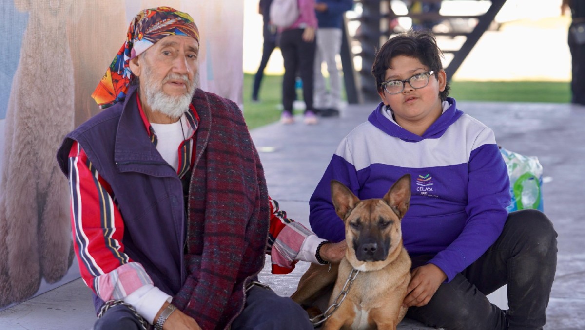 Protección y bienestar de mascotas en Celaya | Cortesía