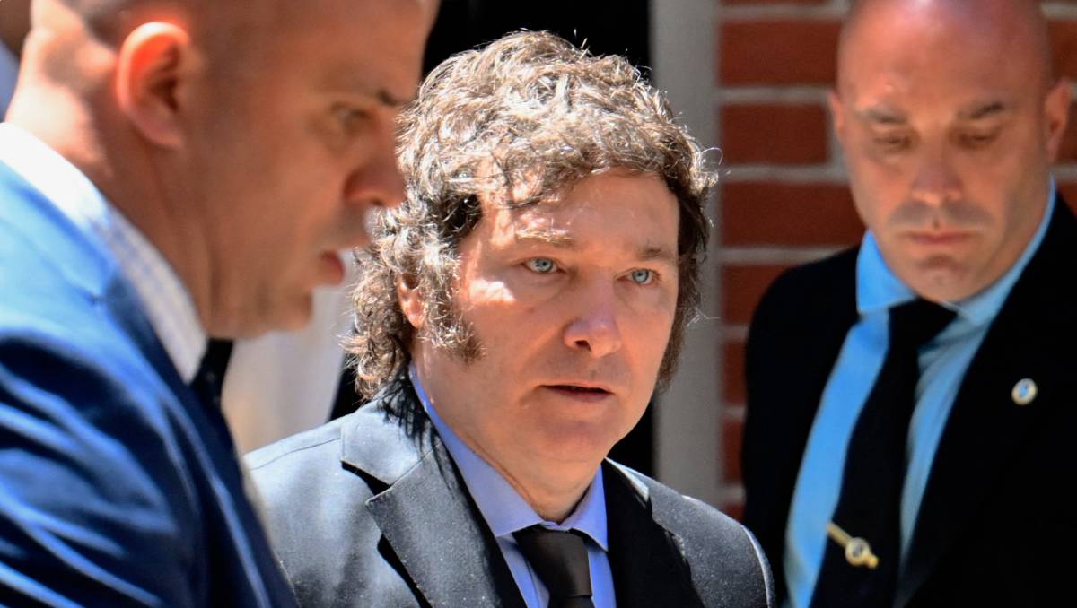 Argentina tiene a su primer presidente anarco-capitalista | AFP