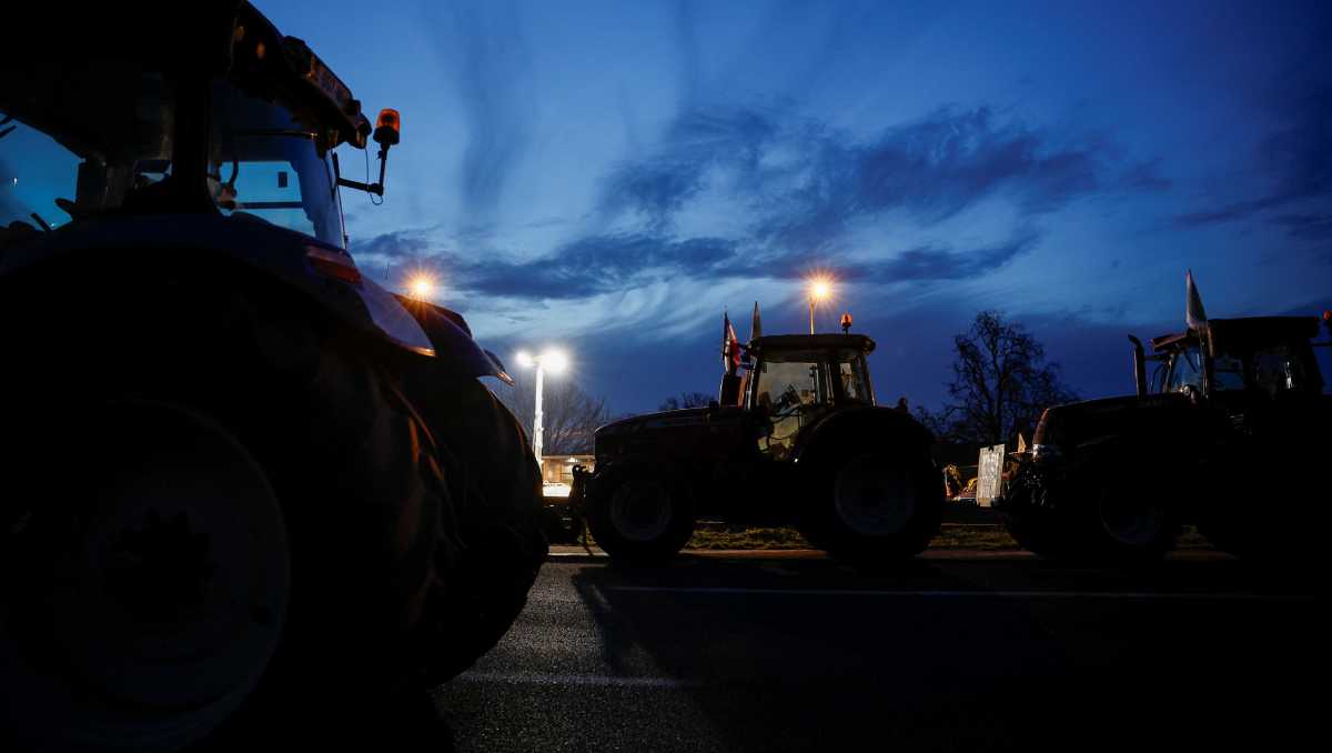 Víctor Gabriel Durán lleva 17 temporadas en campos de Canadá sembrando y cosechando manzanas, mora azul y fresas. | Reuters