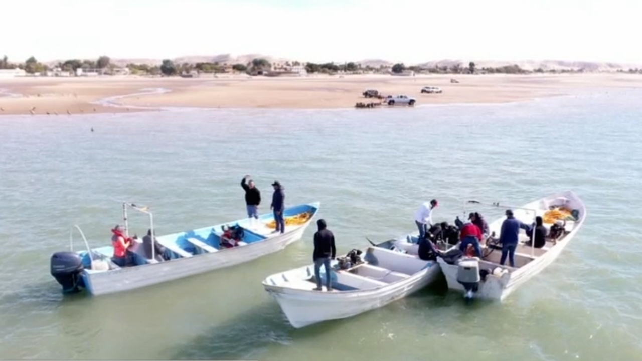 Continúa la búsqueda de tres pescadores en Sonora; llevan una semana desaparecidos