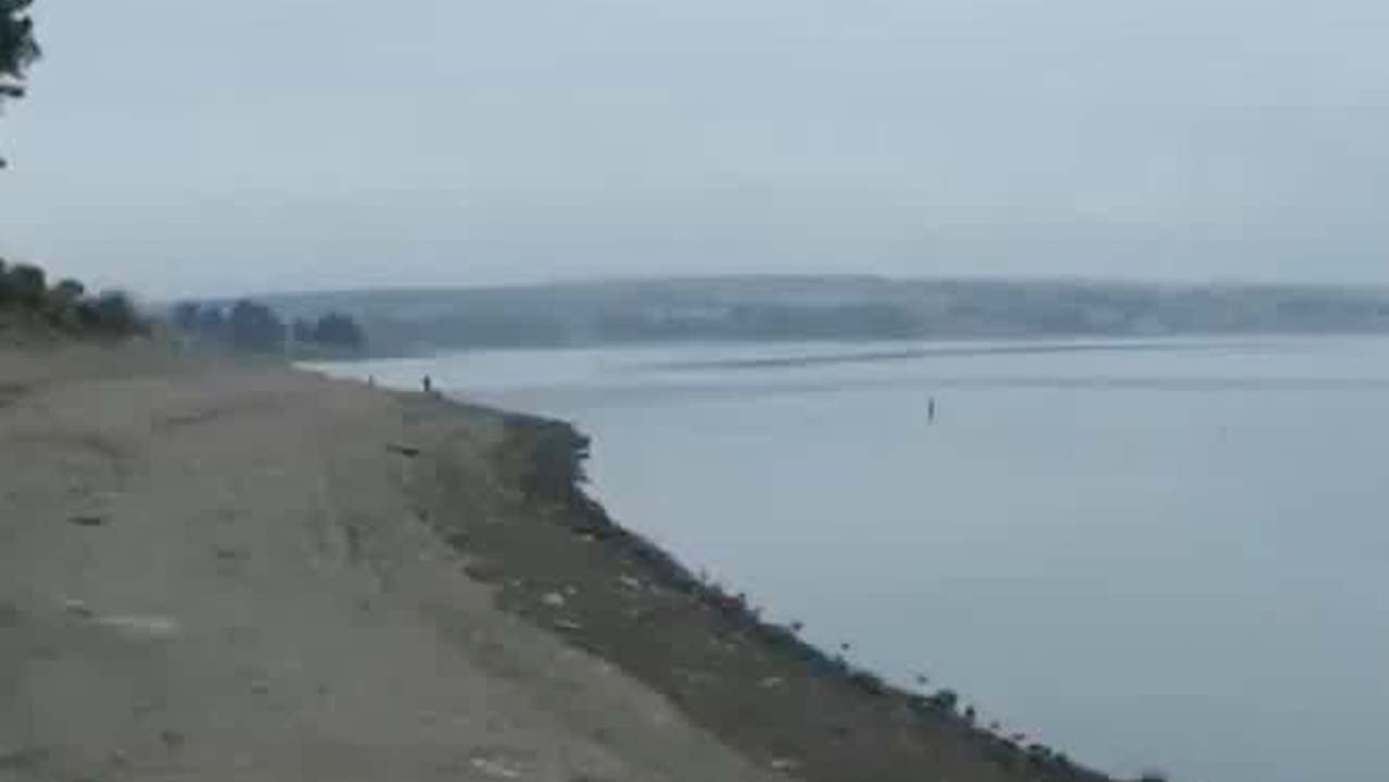 "El gobierno debe de traer agua de donde sea": Carlos Álvarez