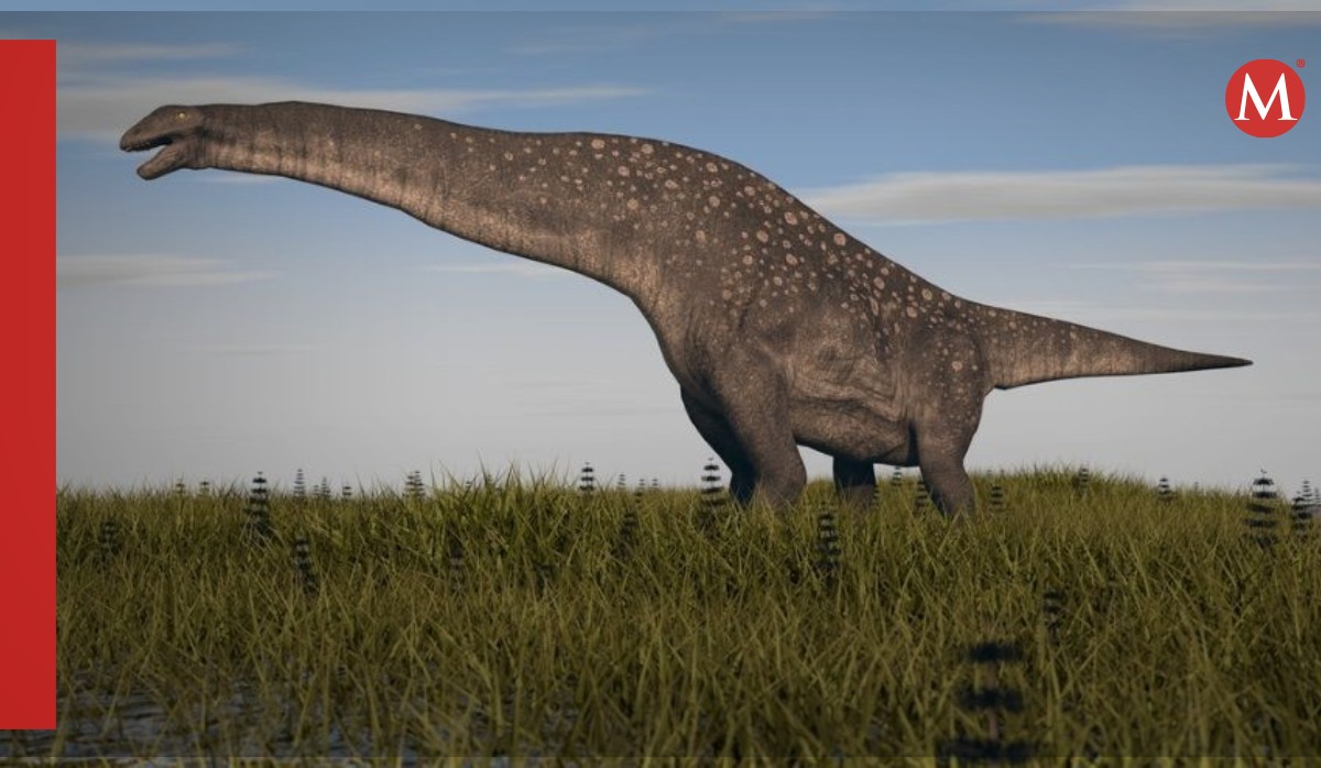 Hallan nueva especie de titanosaurio