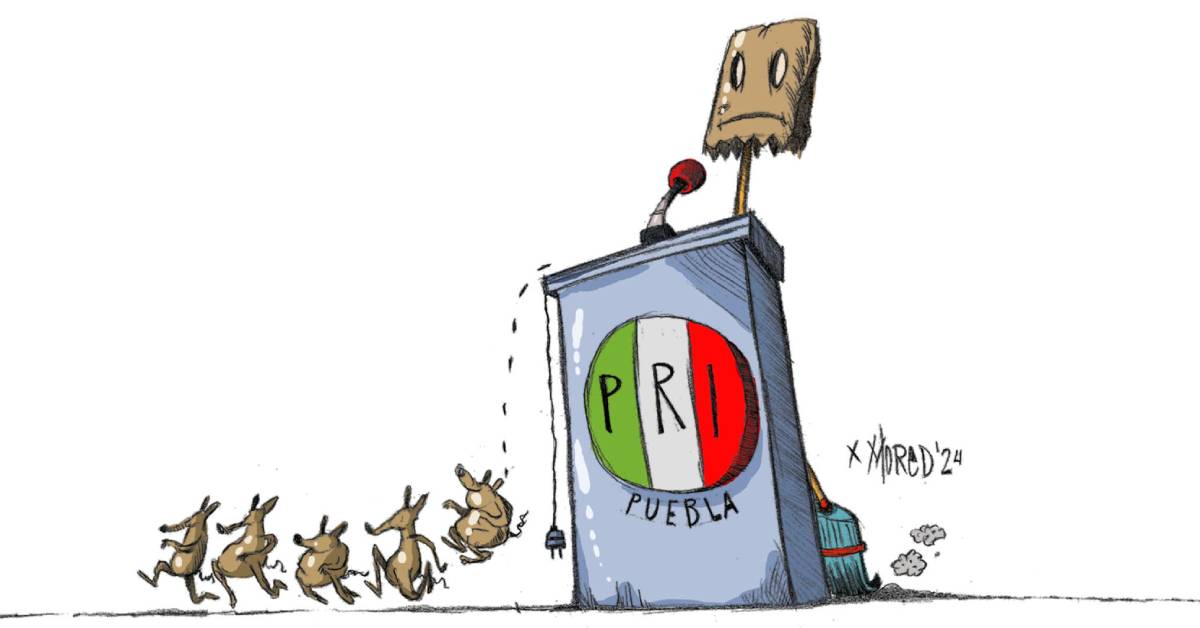 Moneros de Mored, mes 01 del año 2024 Grupo Milenio