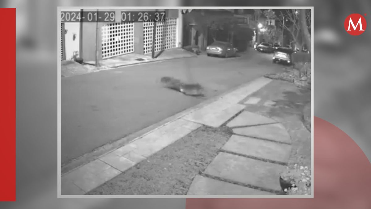 El hecho ocurrió durante la madrugada del lunes 29 | Especial