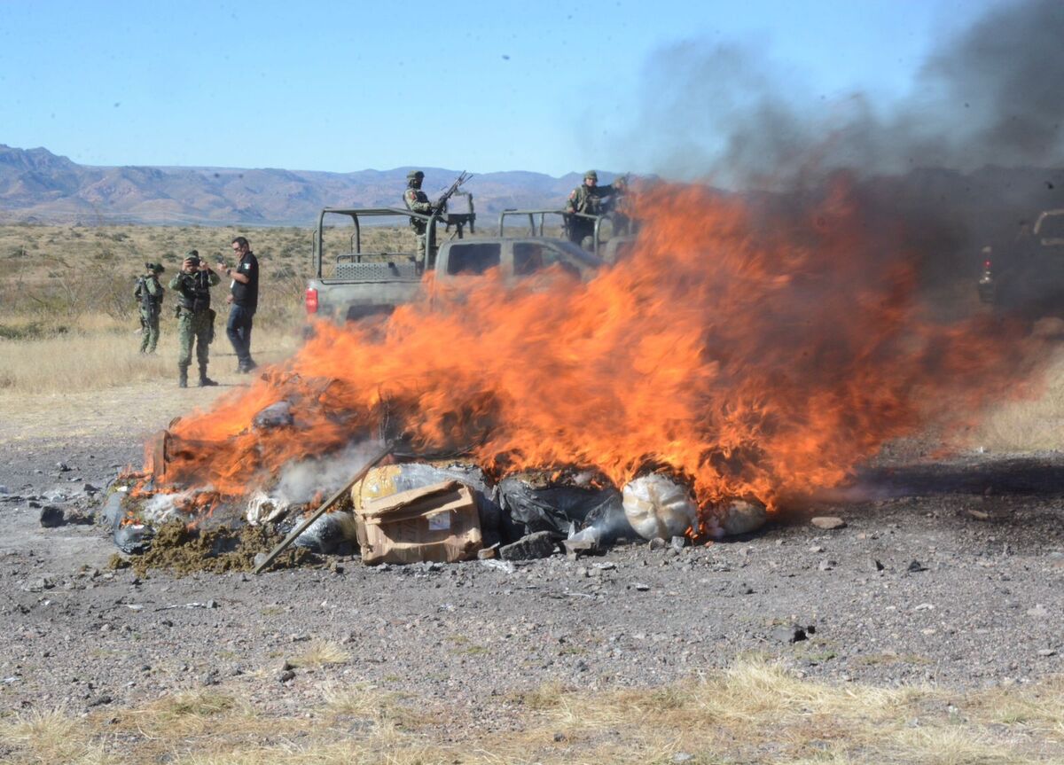 FGR incinera casi media tonelada de narcóticos en Chihuahua | Especial