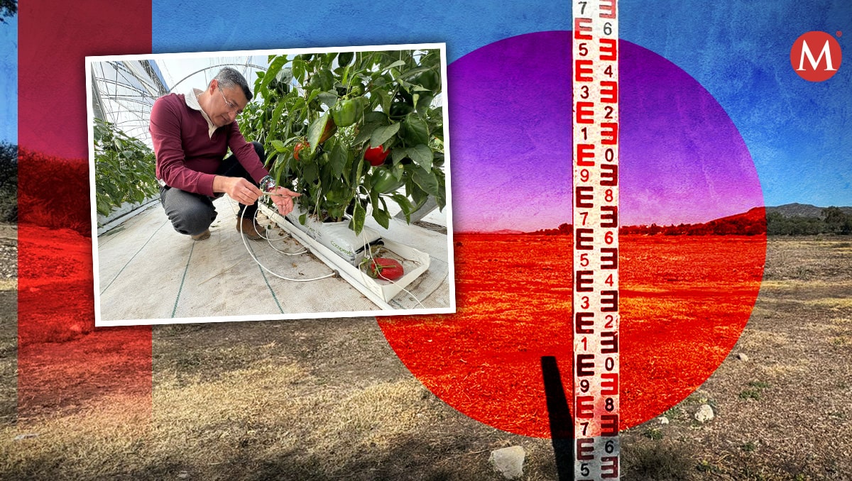 Sequía extrema preocupa a productores agrícolas. (Especial)