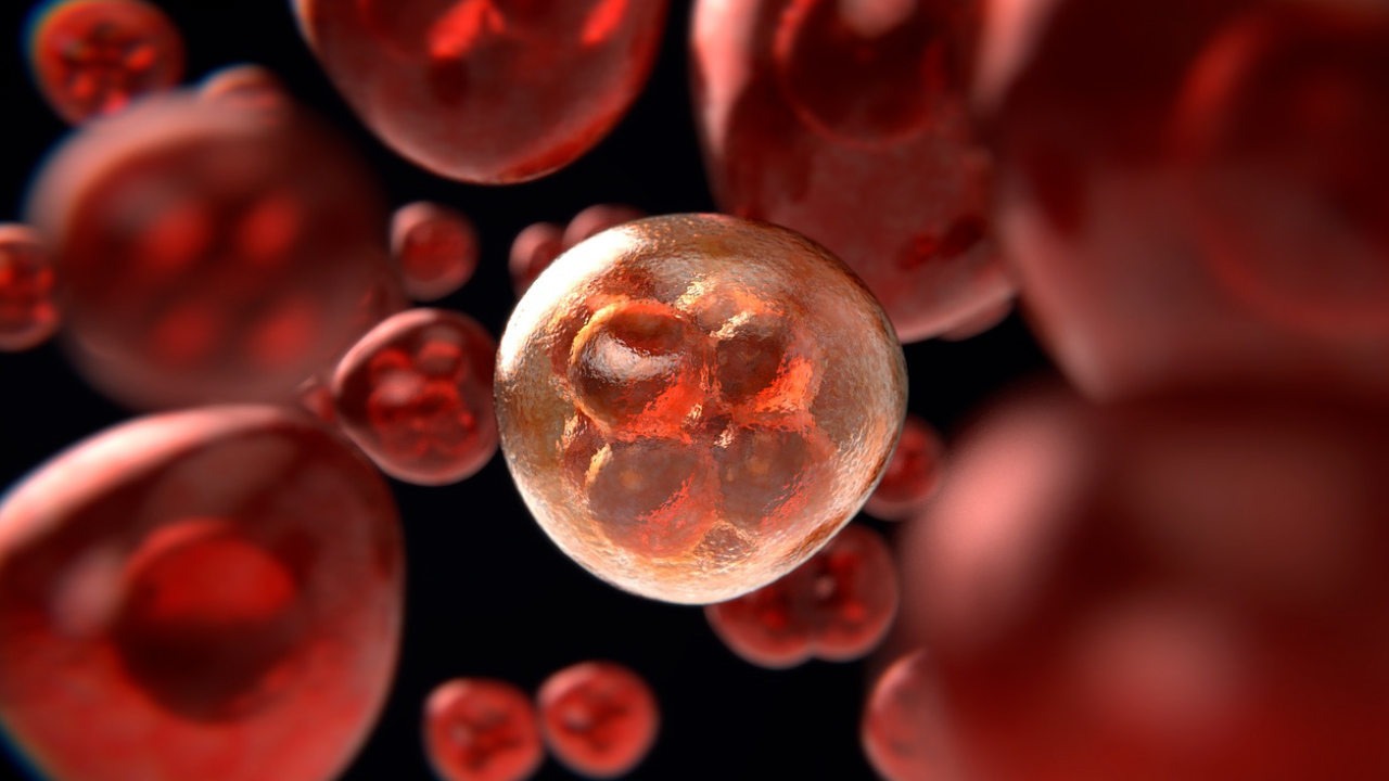Día Mundial contra el Cáncer, la tercera causa de muerte en México